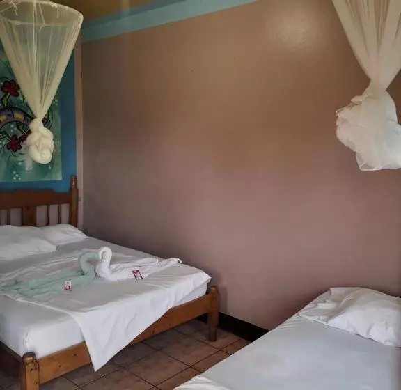 Coconut Hostel B&b