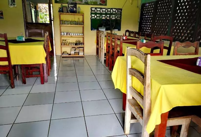 Coconut Hostel B&b