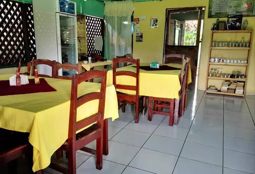 Coconut Hostel B&b