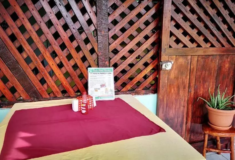 Coconut Hostel B&b