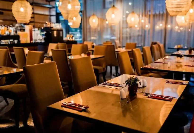 ホテル DORMERO DeHo Linz