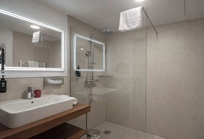 ホテル DORMERO DeHo Linz