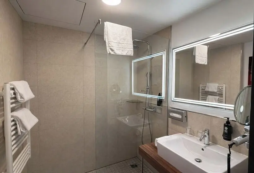 ホテル DORMERO DeHo Linz