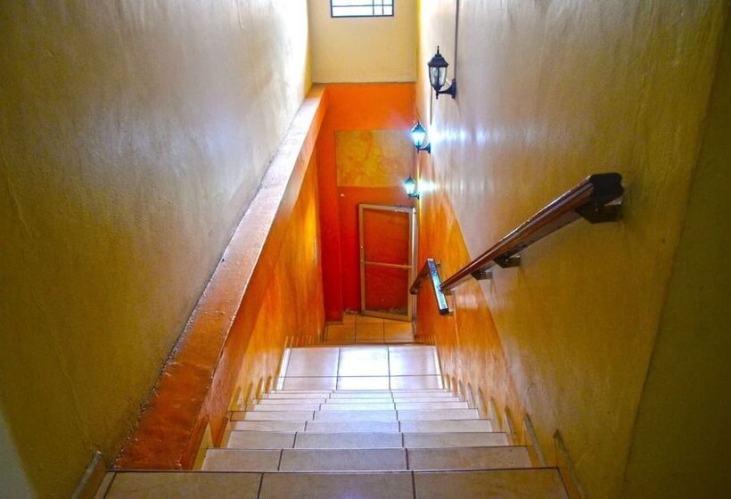 هتل Plaza Palmero