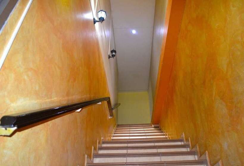 هتل Plaza Palmero