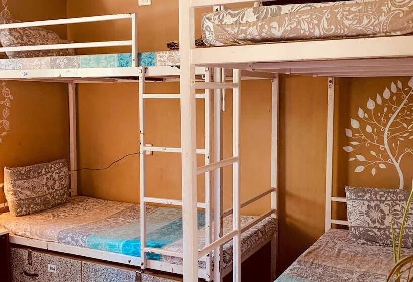 Rootsvilla Hostel Goa