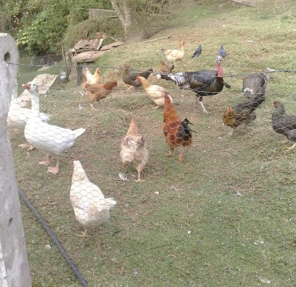 Bed and Breakfast Casa Huespedes El Molino