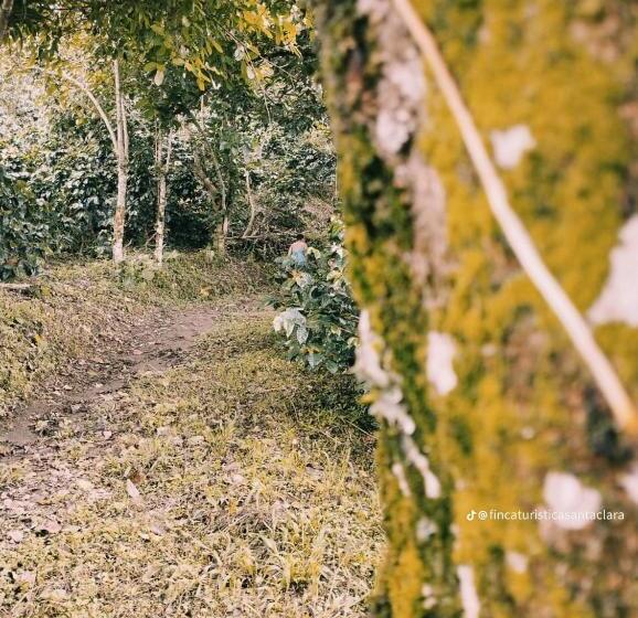 Finca Hotel Santa Clara