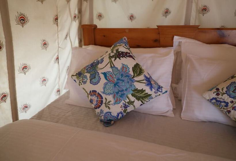 Hotel Mumal Desert Camp
