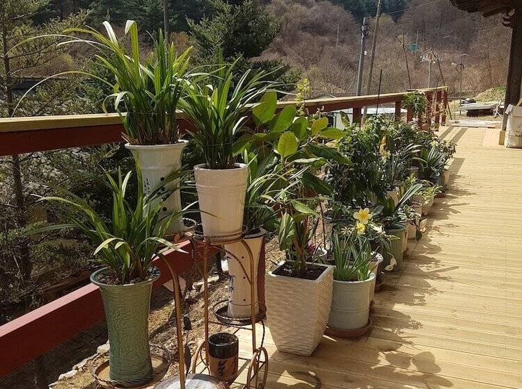 Hwaya Mountain Pension