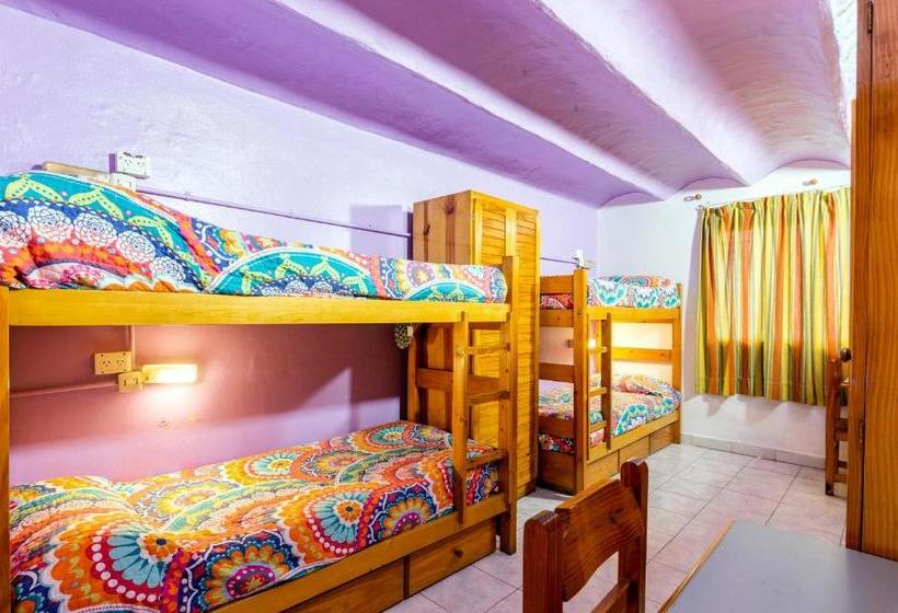 Master Hostel Borges