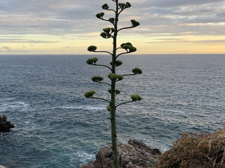 پانسیون Villa Dobre Vode