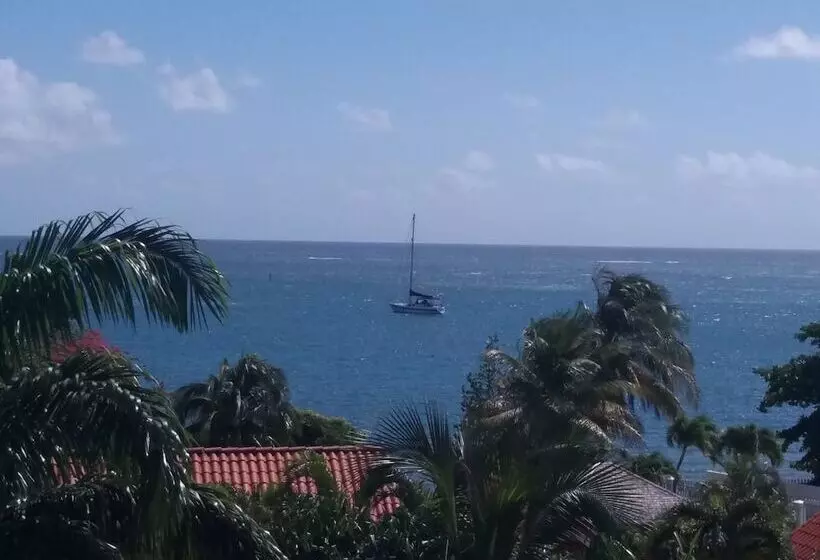 تختخواب و صبحانه Condo Nautilo