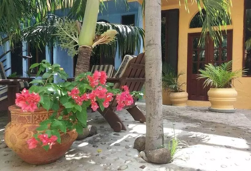 تختخواب و صبحانه Condo Nautilo