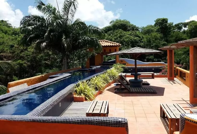 تختخواب و صبحانه Condo Nautilo