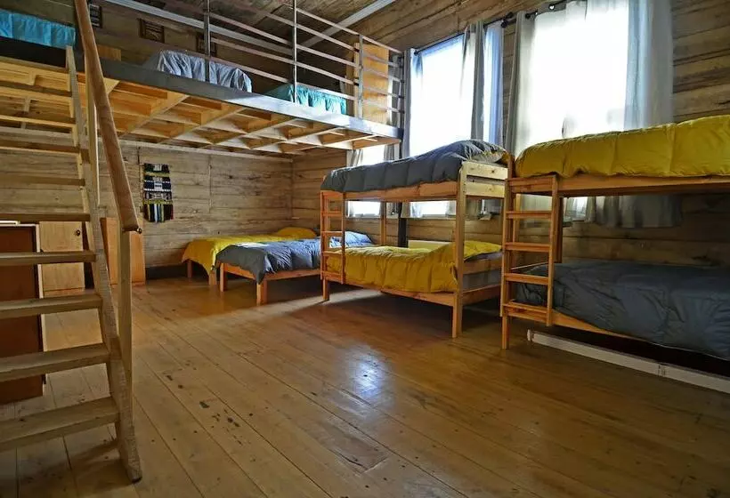 Casa Apel Hostel
