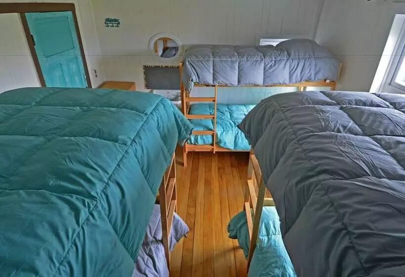 Casa Apel Hostel