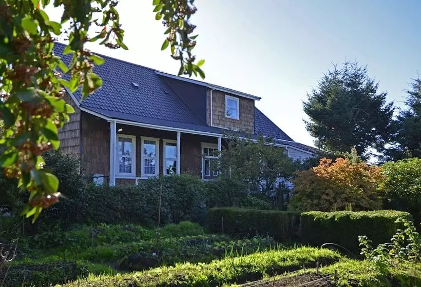 Casa Apel Hostel