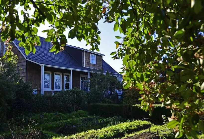 Casa Apel Hostel