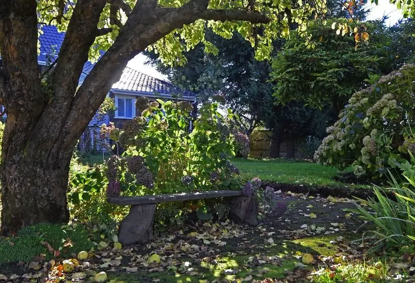 Casa Apel Hostel