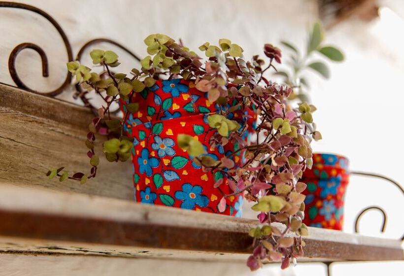 هتل Pousada Bella Casa