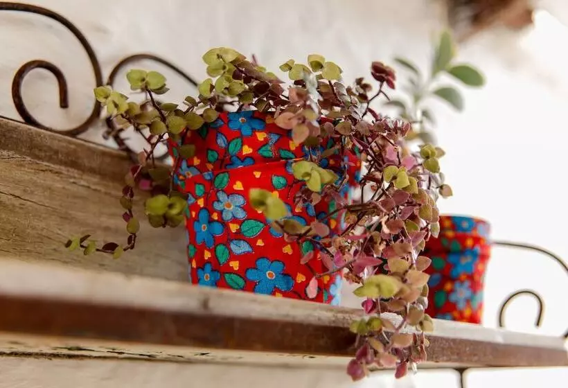 ホテル Pousada Bella Casa