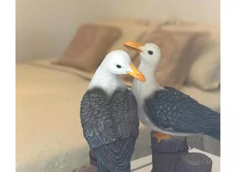 ペンション Casa Luz   Fernando De Noronha