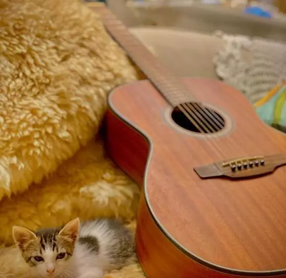 ペンション Casa Luz   Fernando De Noronha