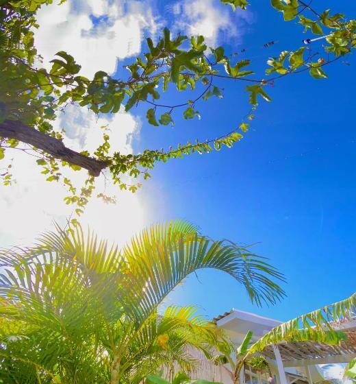 پانسیون Casa Luz   Fernando De Noronha