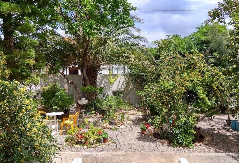 호텔 Dolphin Apartments