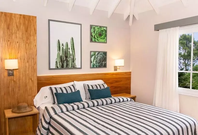 Miradores Del Bosque Apart & Spa