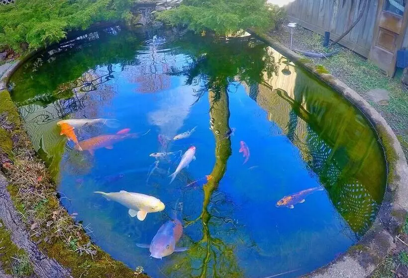 Blue Gables Bed And Breakfast