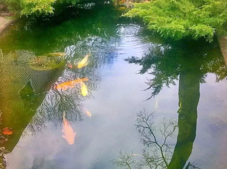 Blue Gables Bed And Breakfast