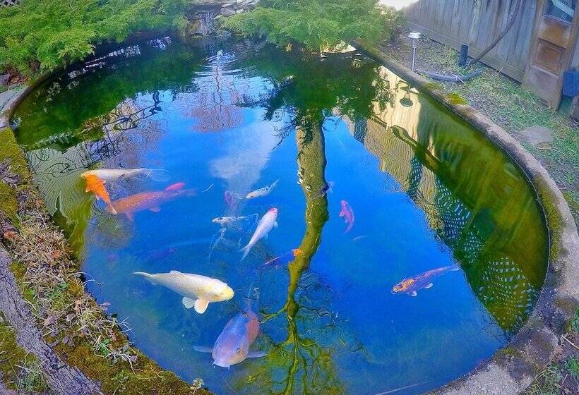 Blue Gables Bed And Breakfast