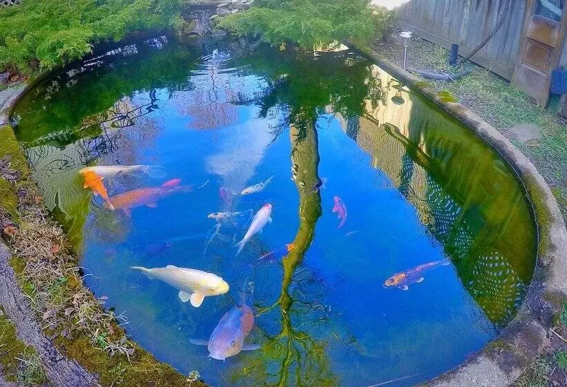 Blue Gables Bed And Breakfast