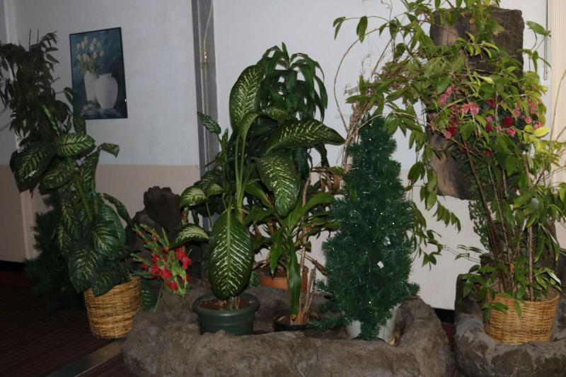 Hotelli New Harmon Loop