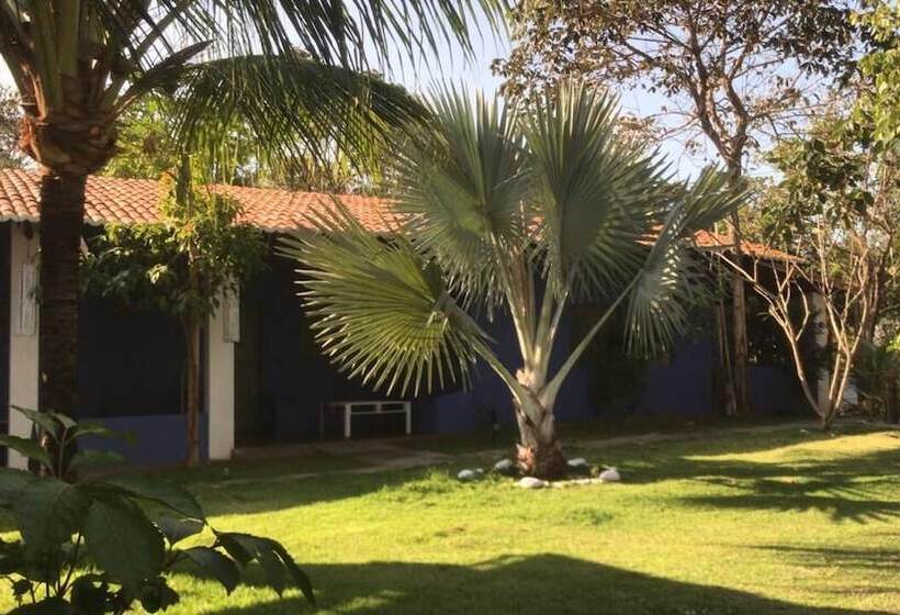 Hotel Pousada Flor Da Pipa