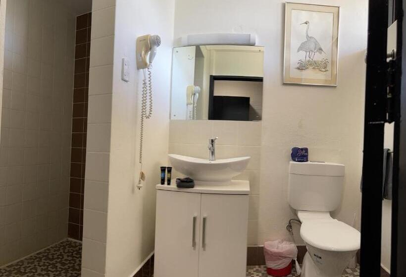 汽车旅馆 Jumbuck Motor Inn Pool Pet Friendly Section King Beds