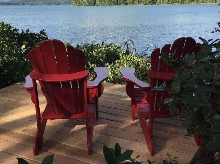 Majatalo Black Bear Guesthouse