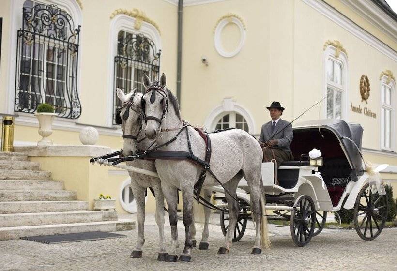בית מלון כפרי Château Amade