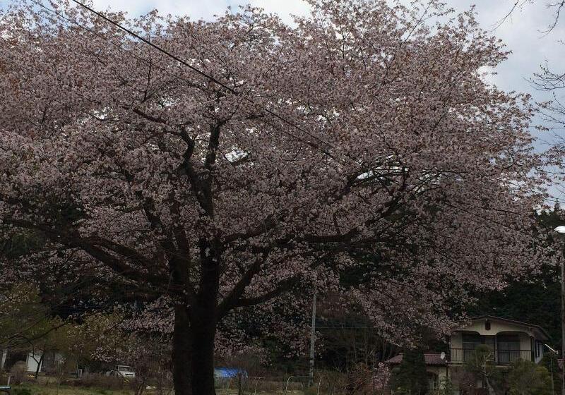 هتل Famitic Myojin