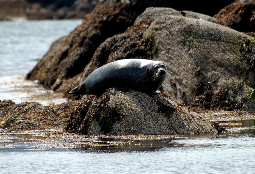 The Grove Lodge Guesthouse