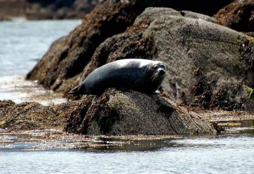 The Grove Lodge Guesthouse