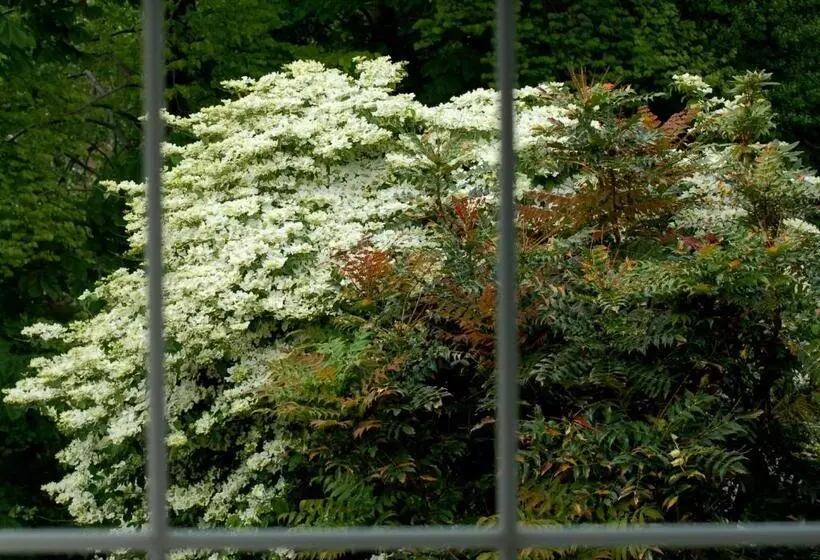 The Grove Lodge Guesthouse