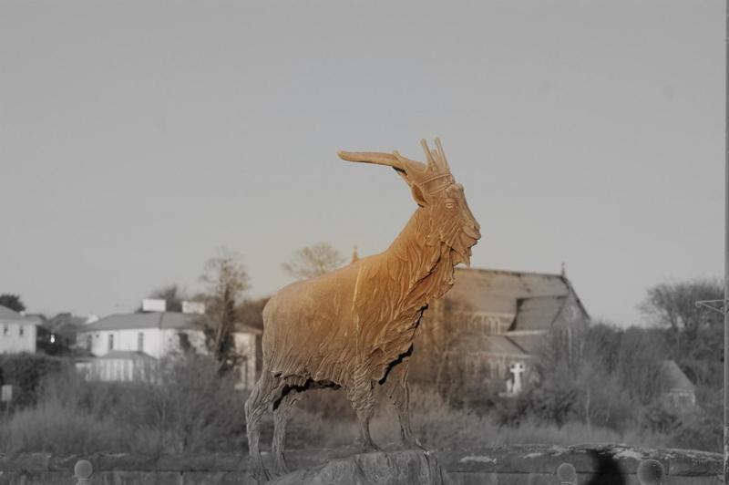 The Grove Lodge Guesthouse