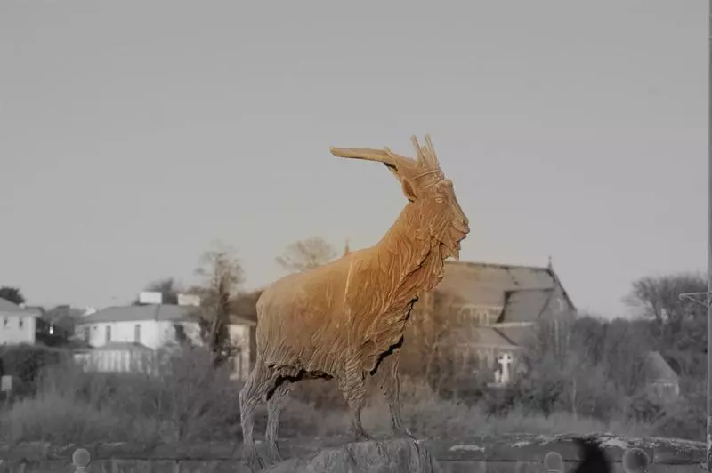 The Grove Lodge Guesthouse