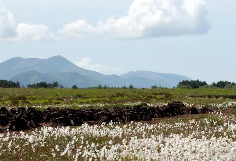 The Grove Lodge Guesthouse