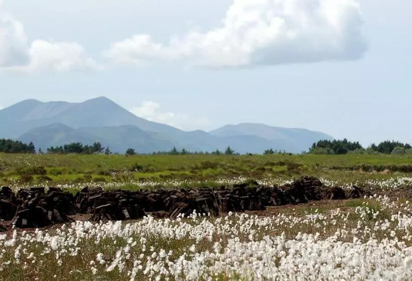 The Grove Lodge Guesthouse