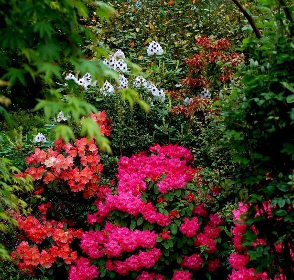 The Grove Lodge Guesthouse