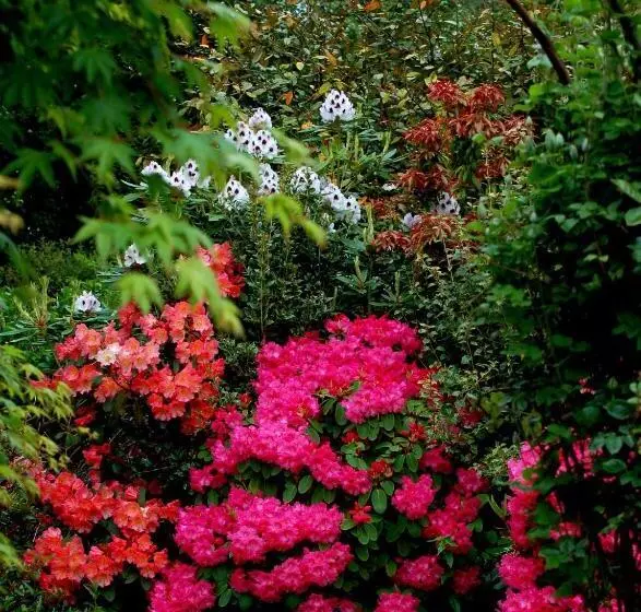 The Grove Lodge Guesthouse